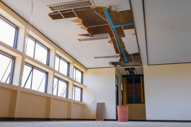 Best Water damage restoration near me  in Emigration Canyon, UT