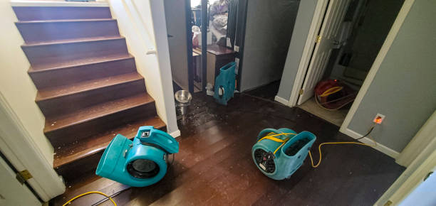 Best Emergency water damage restoration  in Emigration Canyon, UT
