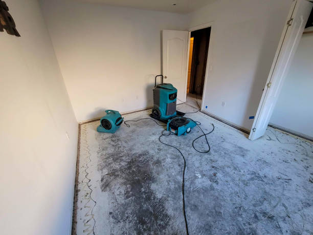 Water damage restoration mold remediation in Emigration Canyon, UT