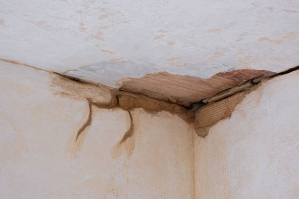 Best 24-hour water damage restoration  in Emigration Canyon, UT