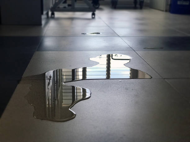Emigration Canyon, UT Water damage restoration Company