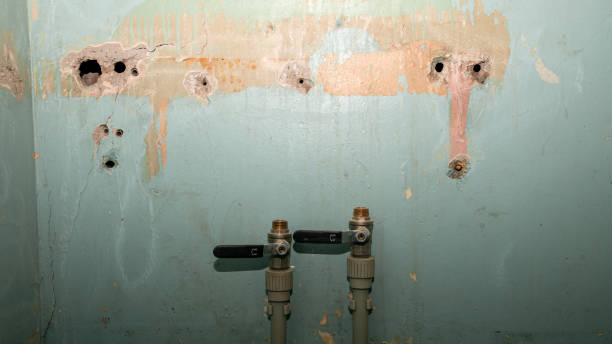 Best Ceiling water damage repair  in Emigration Canyon, UT