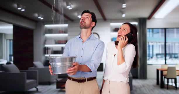 Best Commercial water damage restoration  in Emigration Canyon, UT